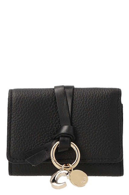 Chloé Portafoglio Con Dettagli Metallici