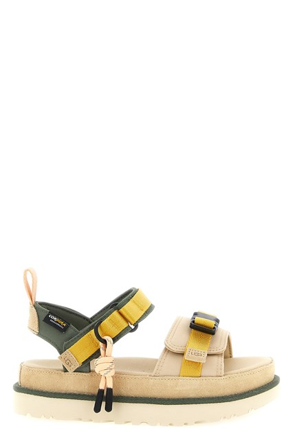 Sandalo 'Goldenstar Wildwood'