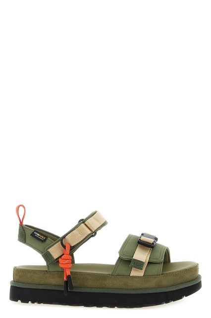 Sandalo 'Goldenstar Wildwood'