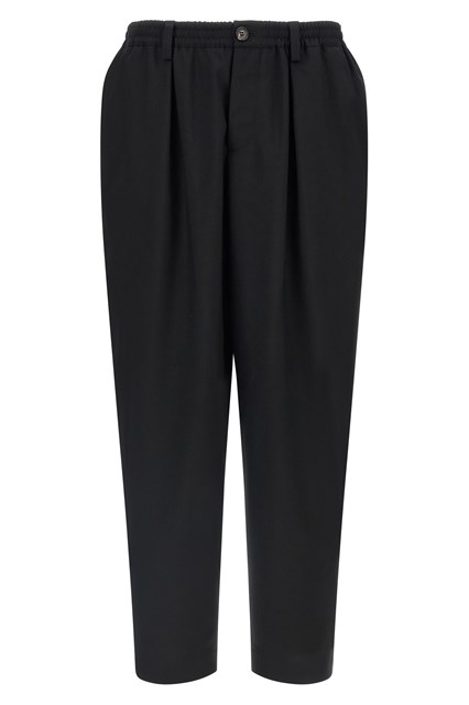 Pantalone crop