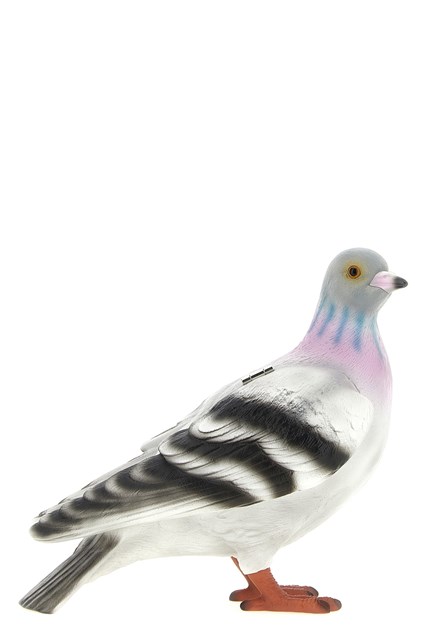 Clutch 'Pigeon'