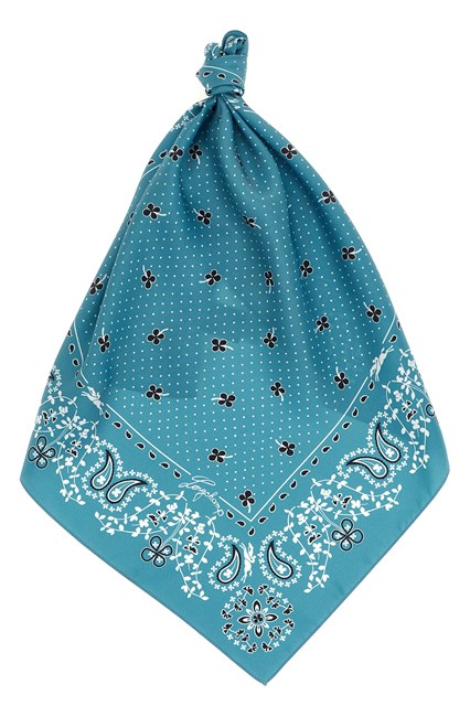 Foulard stampa 'French Bandana'