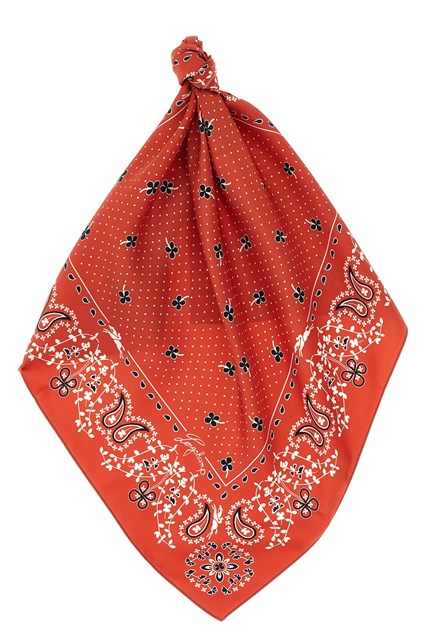 Foulard stampa 'French Bandana'
